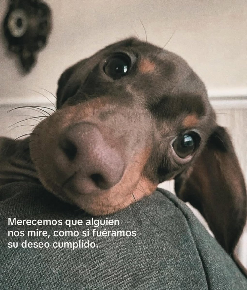 nación tweet media