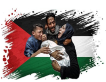 Canal 33 Madrid tweet media