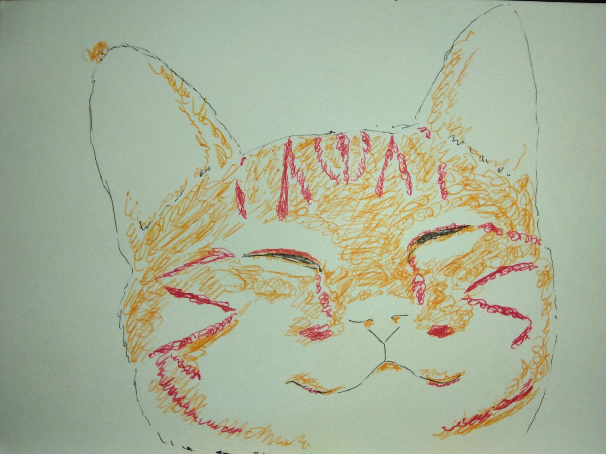 popukk8's tweet photo. ニャンニャン😻 https://t.co/5pAKvsyQjZ