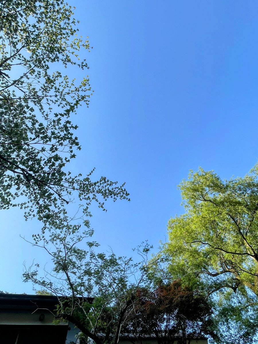 mutu7563's tweet photo. 平日の箱根温泉はのんびり落ち着く☺︎
日常から離れて、癒される日は絶対必要 https://t.co/EaauQxeQkr