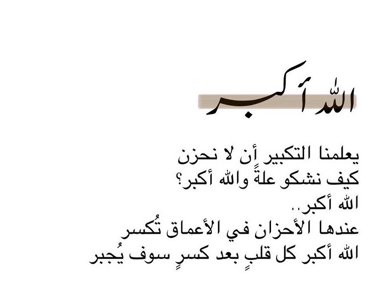 كلمات🍃 tweet media