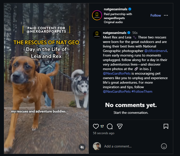 ripedevonchain's tweet photo. Natgeoanimals just posted Rex and Leia

I found a charity that helps them.

FREE RUNNER https://t.co/NcKDjyhPKu