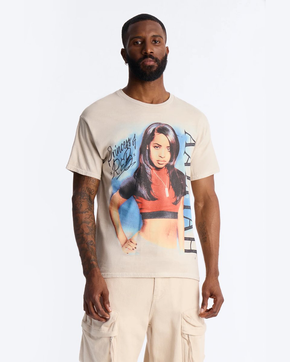 samthomasdesign's tweet photo. official merch design for the late great aaliyah 🩵🕊️ where all the r&amp;b heads sound off https://t.co/3RWowTzOvO