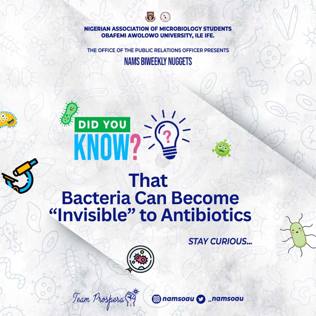 _NAMSOAU's tweet photo. Some bacteria survive antibiotics not by resisting them, but by becoming temporarily inactive. 🦠

In the “persister state” they evade treatment, then reactivate later. One reason some infections return.

NAMS Biweekly Nugget  #3🔬
#microbiology https://t.co/hsssyauRco