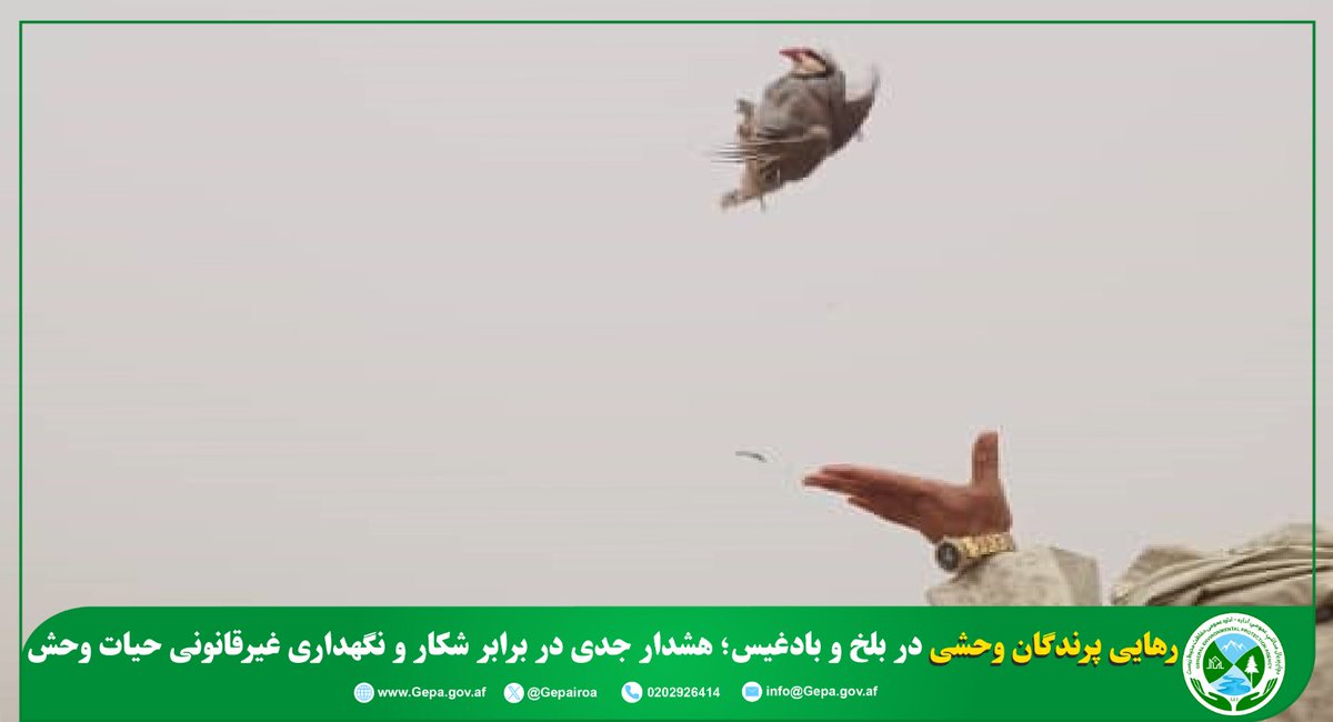 د چاپېریال ساتنې عمومي اداره(NEPA) tweet media