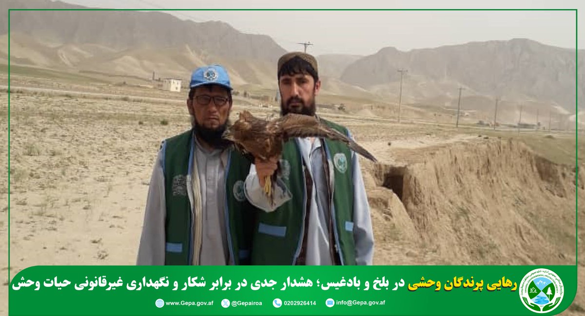 د چاپېریال ساتنې عمومي اداره(NEPA) tweet media