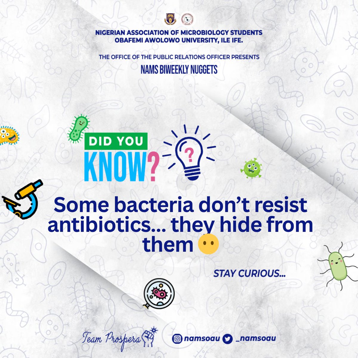 _NAMSOAU's tweet photo. Some bacteria survive antibiotics not by resisting them, but by becoming temporarily inactive. 🦠

In the “persister state” they evade treatment, then reactivate later. One reason some infections return.

NAMS Biweekly Nugget  #3🔬
#microbiology https://t.co/hsssyauRco