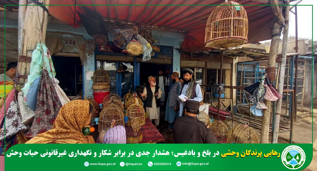 د چاپېریال ساتنې عمومي اداره(NEPA) tweet media