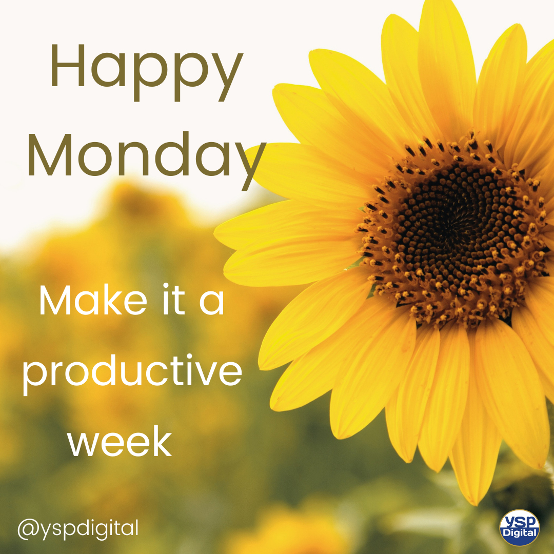 ysp Digital Marketing Agency tweet media