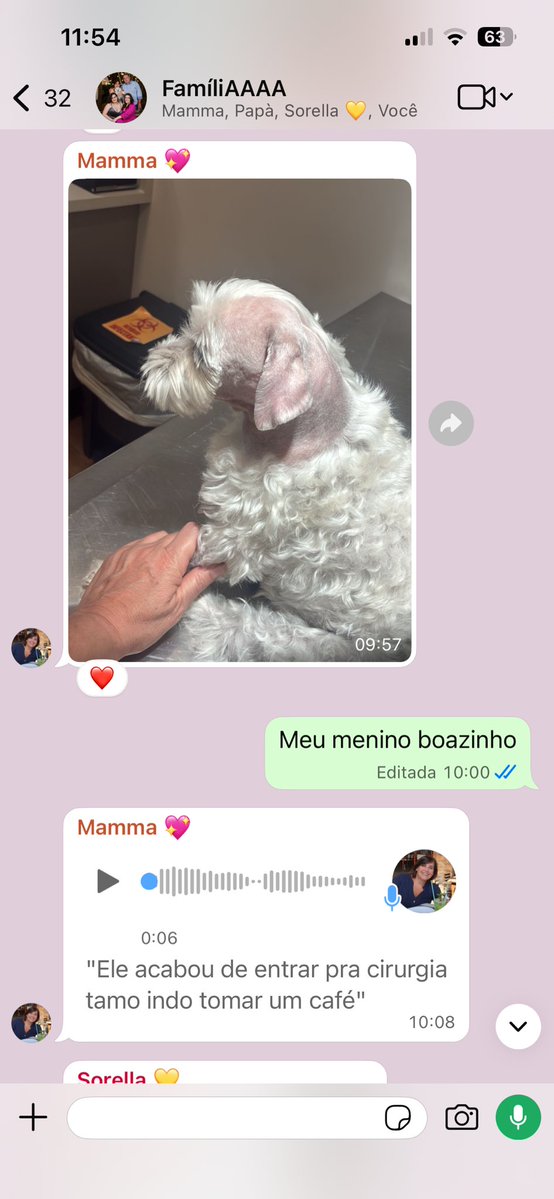 Isabela ✨ tweet media