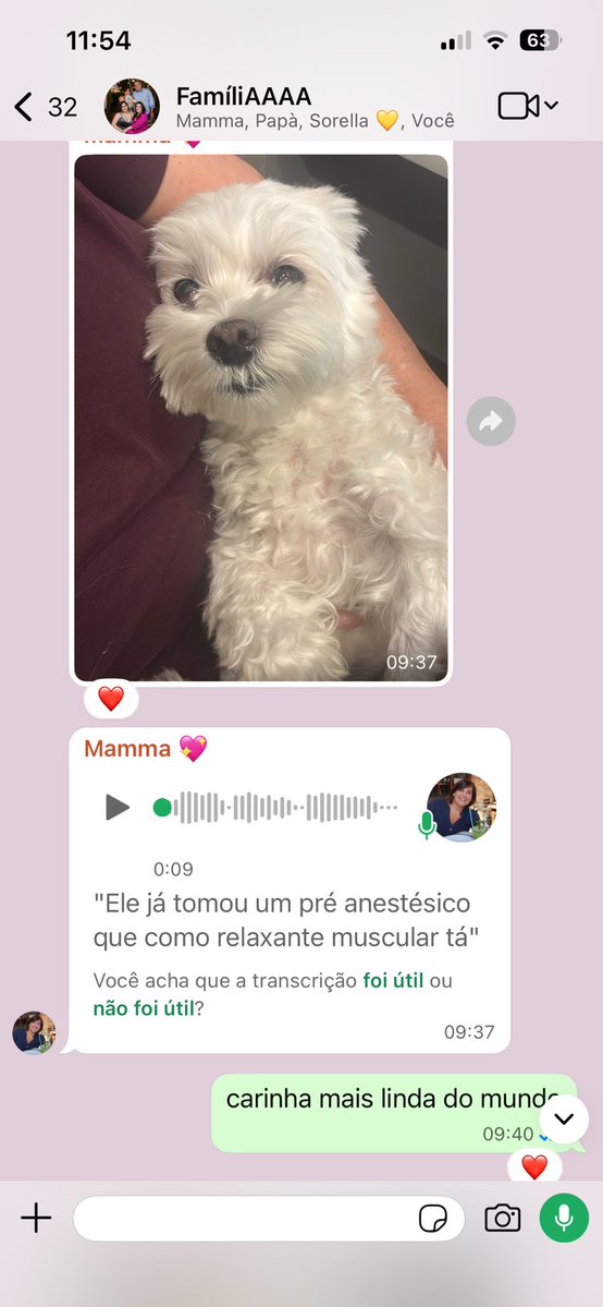 Isabela ✨ tweet media