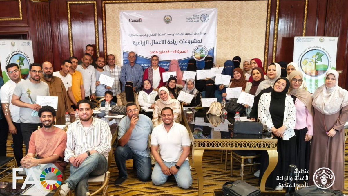FAO in Egypt tweet media
