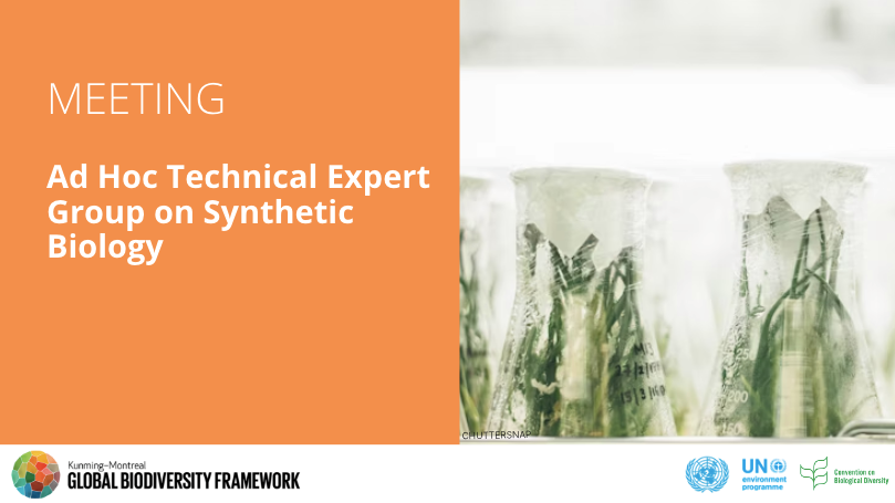 BCHCPB's tweet photo. Upcoming meeting: Meeting of the Ad Hoc Technical Expert Group on Synthetic Biology, 19–22 May 2026, in Montreal - https://t.co/htm0z9Bx1l

@UNBiodiversity #LMOs #GMOs #biotech #biotechnolgy #biosafety https://t.co/pnP5UdVEnn