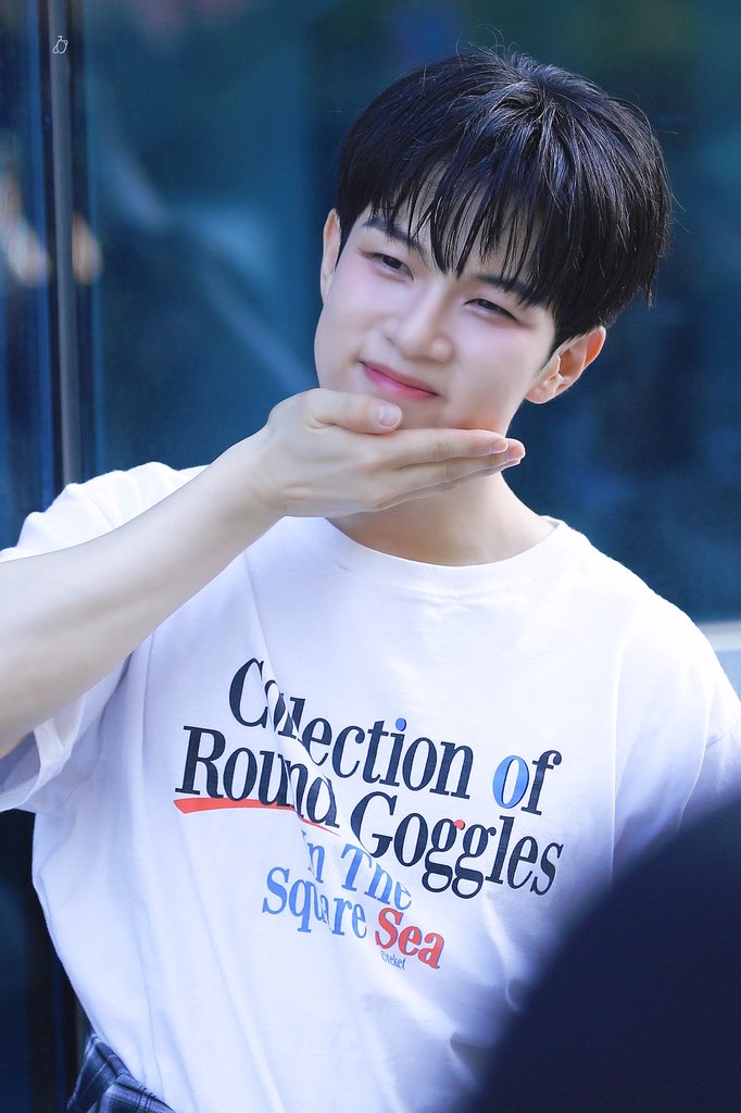 새싹행성 tweet media