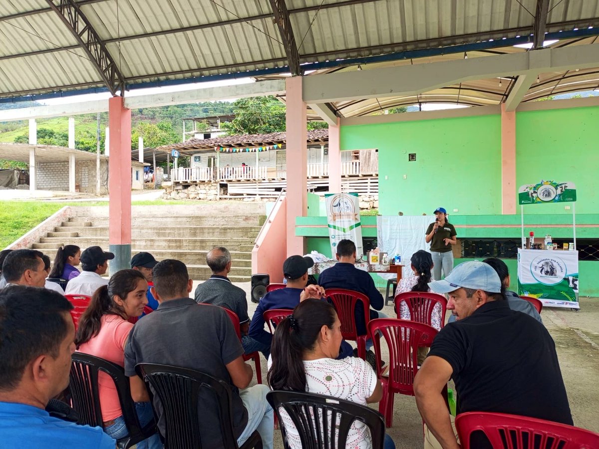 Agricultura_CZ7's tweet photo. #ZamoraChinchipe | En el cantón #Palanda desarrollamos la socialización de proyectos del MAGP y BanEcuador junto a productores de la zona, promoviendo el acceso a servicios, financiamiento y nuevas oportunidades para dinamizar el sector productivo rural.
#ElNuevoEcuador https://t.co/yDBiIUKt2e