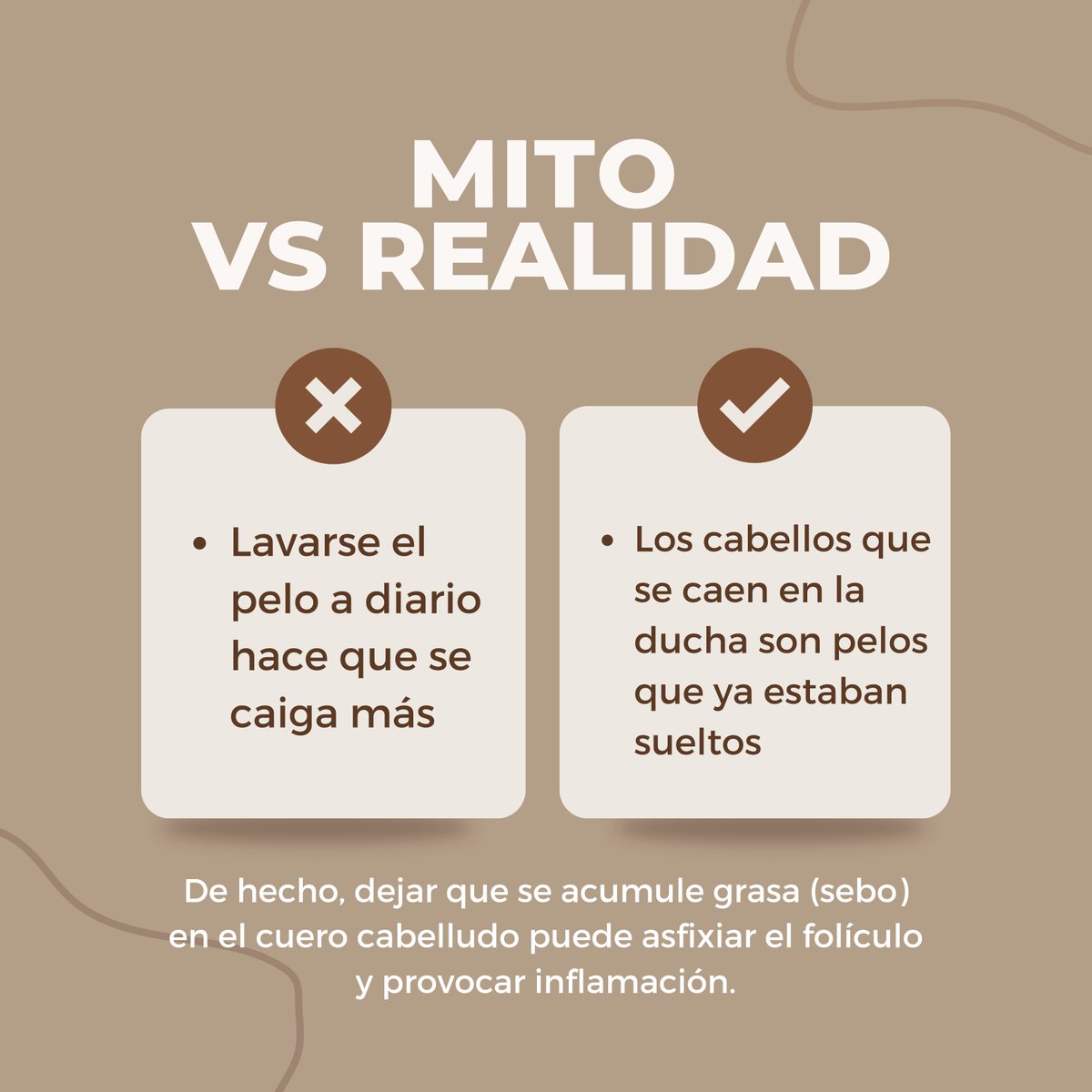 drpanno's tweet photo. ¿Cuántas veces has escuchado consejos sobre el cabello que no tienen ninguna base científica? 
🤯 En el mundo capilar, los mitos corren más rápido que las verdades, y seguirlos puede acabar dañando tu salud folicular. https://t.co/lQj2KMP3Sq