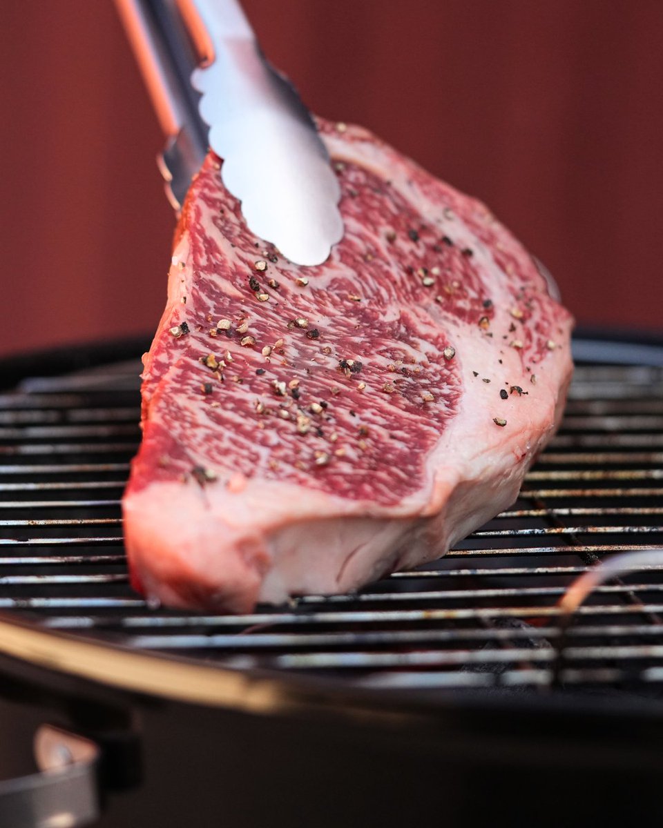 7X Beef (@7XBeef) / Posts / X