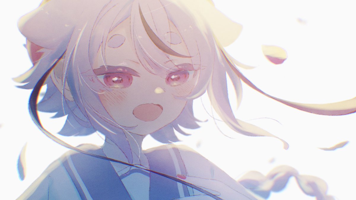 hayate_hn's tweet photo. I am in LOVE https://t.co/6EqSjQ68V2