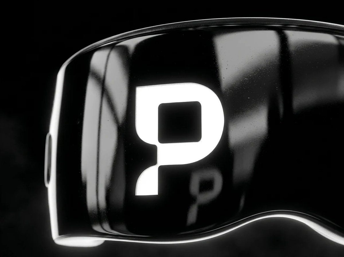 PAYNAPTIC tweet media
