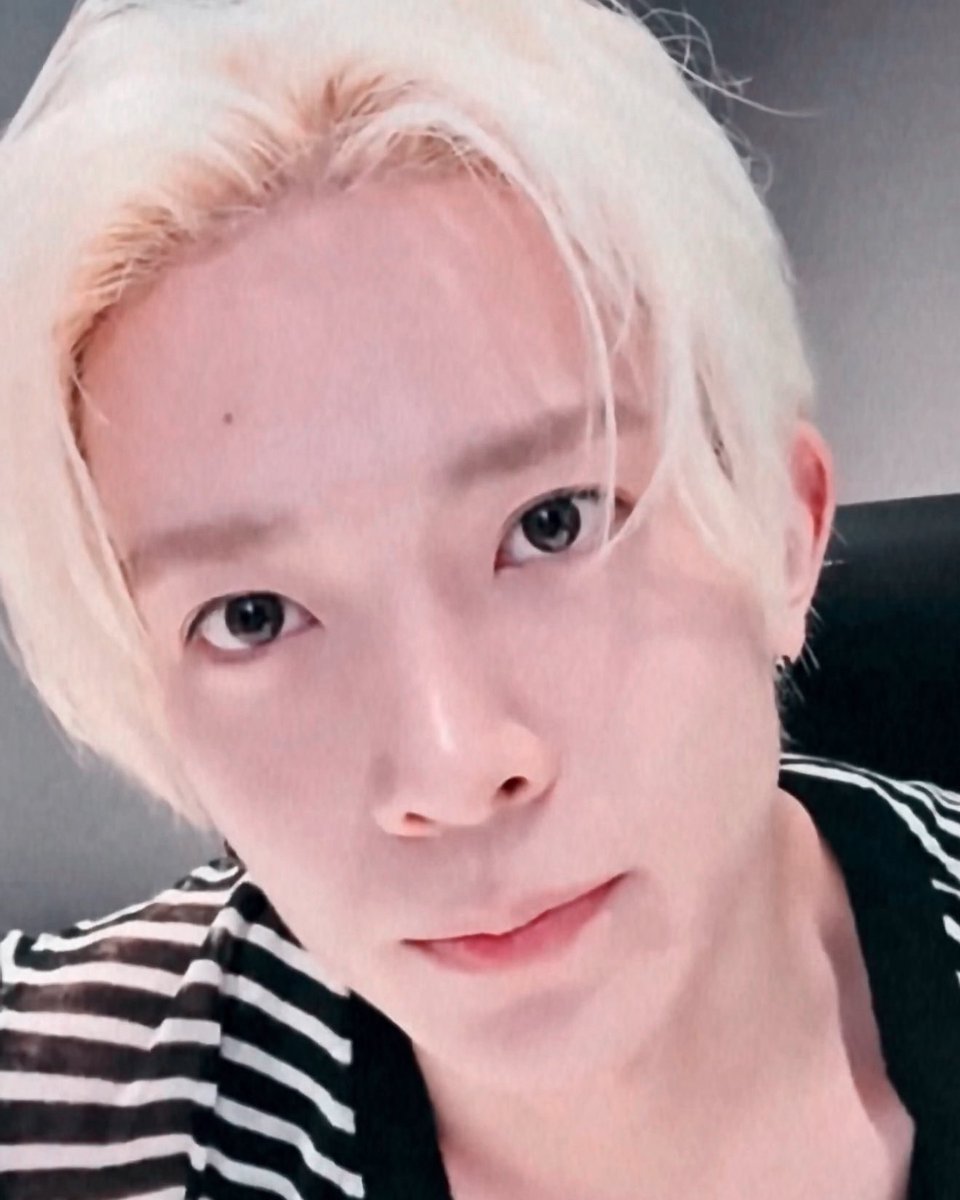 🐹 tweet media