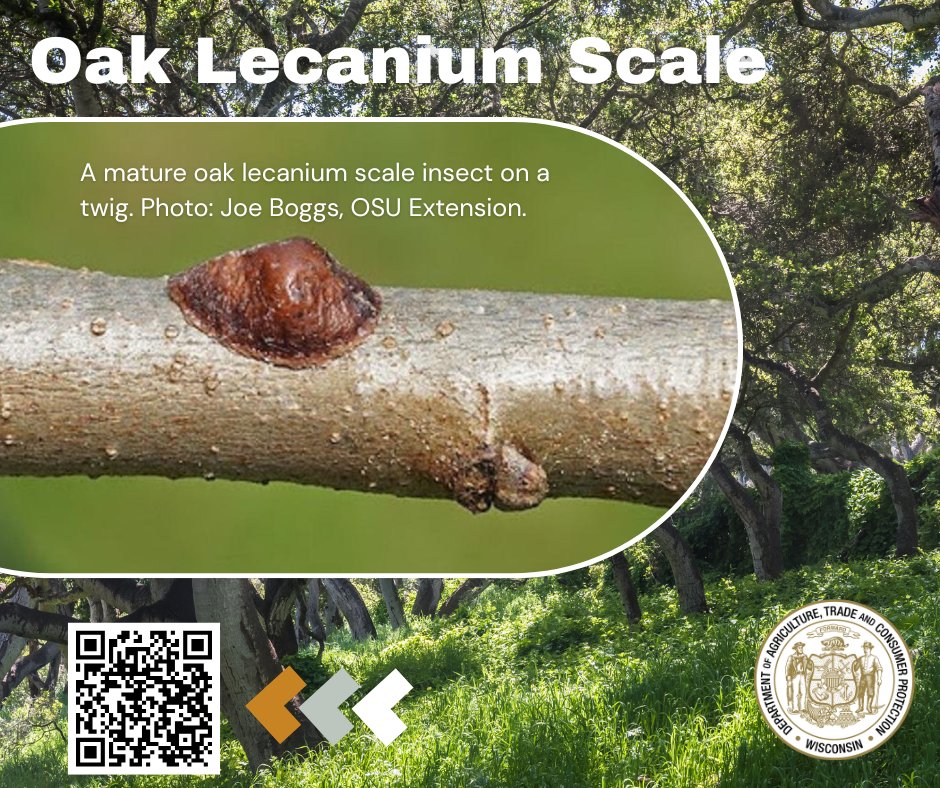 Wisconsin DATCP tweet media