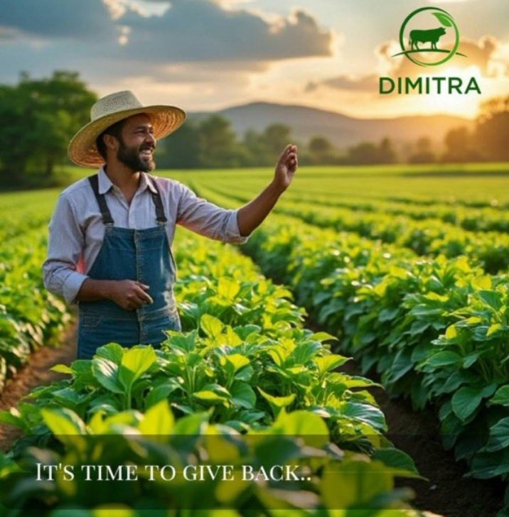 CJerera's tweet photo. $DMTR tech provides full traceability, allowing commodities to be tracked from farm to buyer. That transparency helps farmers access premium markets &amp; prove their products are sustainably produced. This means more productive farms, better prices &amp;  trusted #Ag-supply chain.
$BTC https://t.co/TmIvjFoNu6