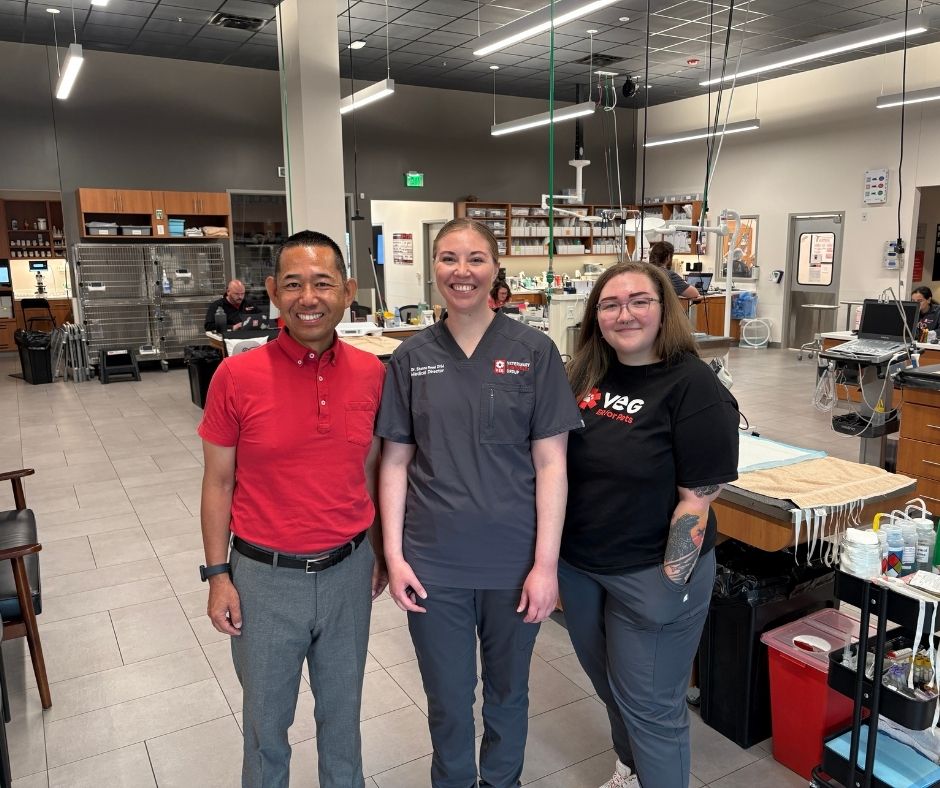 MilwaukeeCC's tweet photo. Our students don't wait until after graduation to experience the job!

Externships offer them hands-on experience in healthcare settings before their first day on the job, helping them feel prepared and more confident!

Apply for one of our programs today: https://t.co/Pqpbsx0pNr https://t.co/JKGjjmin7L