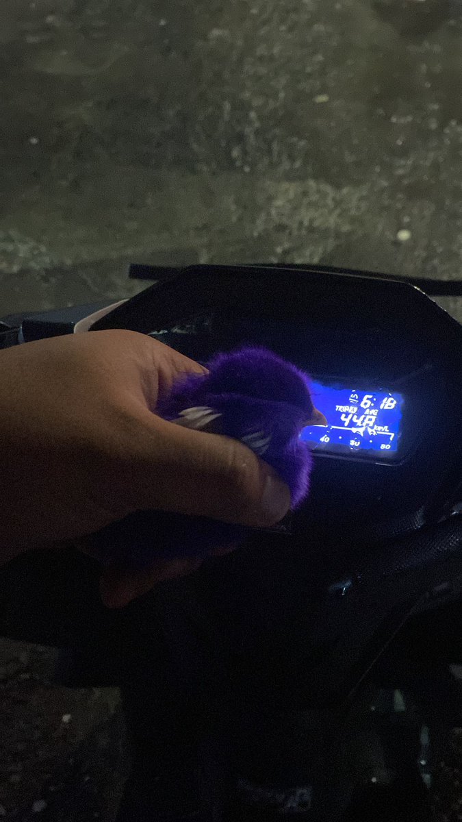 Nwwfn's tweet photo. menemukan anak ayam di jalan https://t.co/MGi3dC3yfy