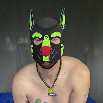 PupAmicus's tweet photo. #NewProfilePic https://t.co/aXaP6tBiMJ