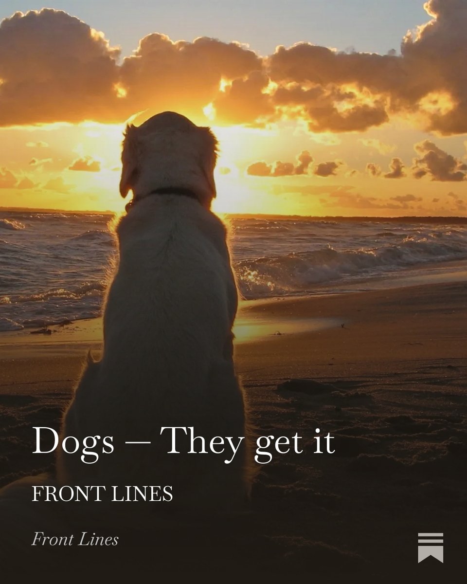 HumaneAdvocacy's tweet photo. The extraordinary interconnectedness between humans and dogs. Read more:
https://t.co/3OTgsI74aI
#DogsAreFamily
#UnconditionalLove
#HumanAnimalBond
#DogsUnderstandUs
#lifewithdogs https://t.co/lwXhOGFoEm