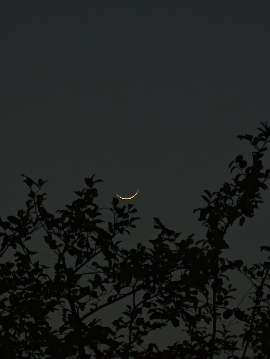 talhahunyawr's tweet photo. 🌙 Moon of Zilhaj https://t.co/KOsCFw5KjG
