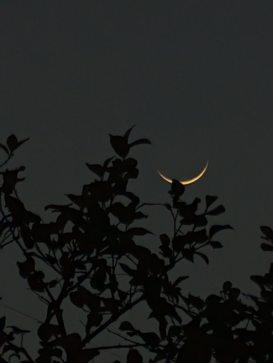 talhahunyawr's tweet photo. 🌙 Moon of Zilhaj https://t.co/KOsCFw5KjG