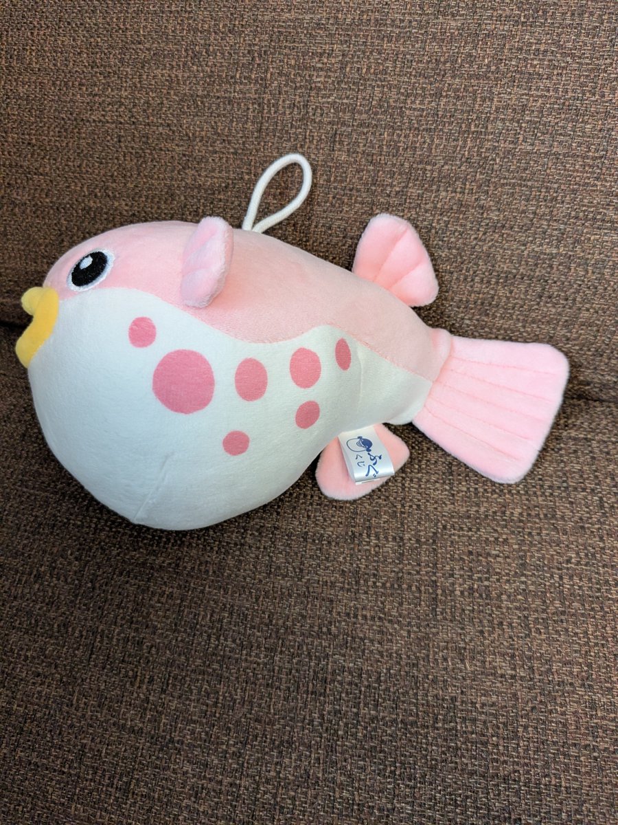 しるく🐡のお世話係その2 tweet media