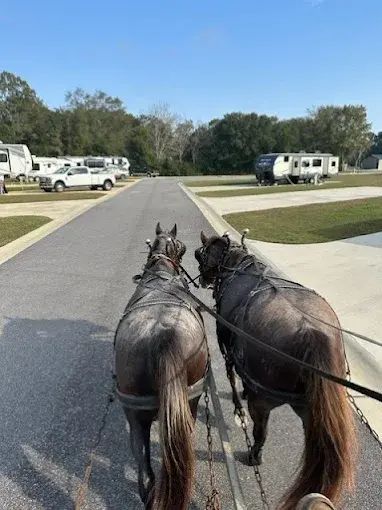 ConsultingEob's tweet photo. Building an RV park takes more than great land — it takes the right strategy. 🚐

https://t.co/oK5zw2ppiX

#RVParkConsulting #OutdoorLiving #RVTravel #RVBusiness #CampgroundLife #DestinationDevelopment #TourismIndustry #BusinessConsultant #HospitalityIndustry https://t.co/N7PFt0nngv