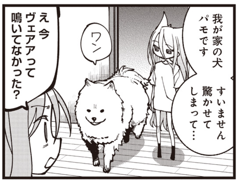 今月はサモエドでますよろしくお願いします 