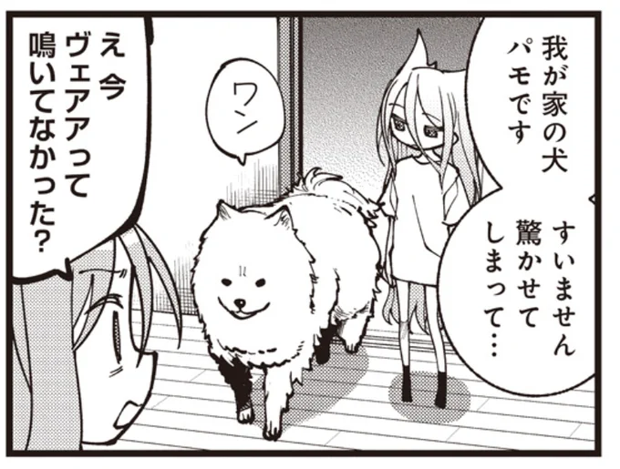 今月はサモエドでますよろしくお願いします 