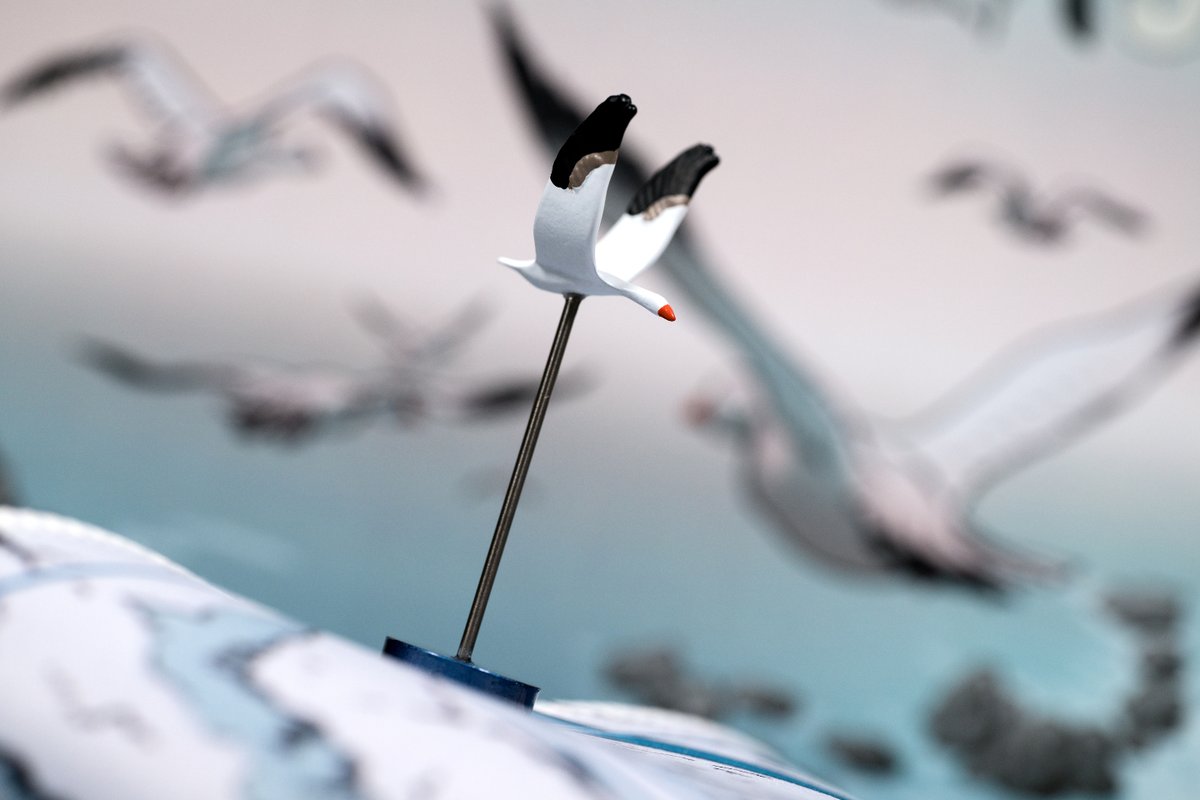 oddbirdgames's tweet photo. You can build a perfect route…
…but if your flock runs out of vitality, you’re stuck. Movement and survival are always in tension. That’s where Flockers shines. Now live.
https://t.co/qrBKS0e677

#Flockers #OddBirdGames #Gamefound #Eurogame #MattEmmons https://t.co/06d2ORVyzj