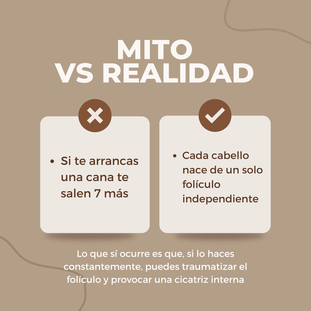 drpanno's tweet photo. ¿Cuántas veces has escuchado consejos sobre el cabello que no tienen ninguna base científica? 
🤯 En el mundo capilar, los mitos corren más rápido que las verdades, y seguirlos puede acabar dañando tu salud folicular. https://t.co/lQj2KMP3Sq
