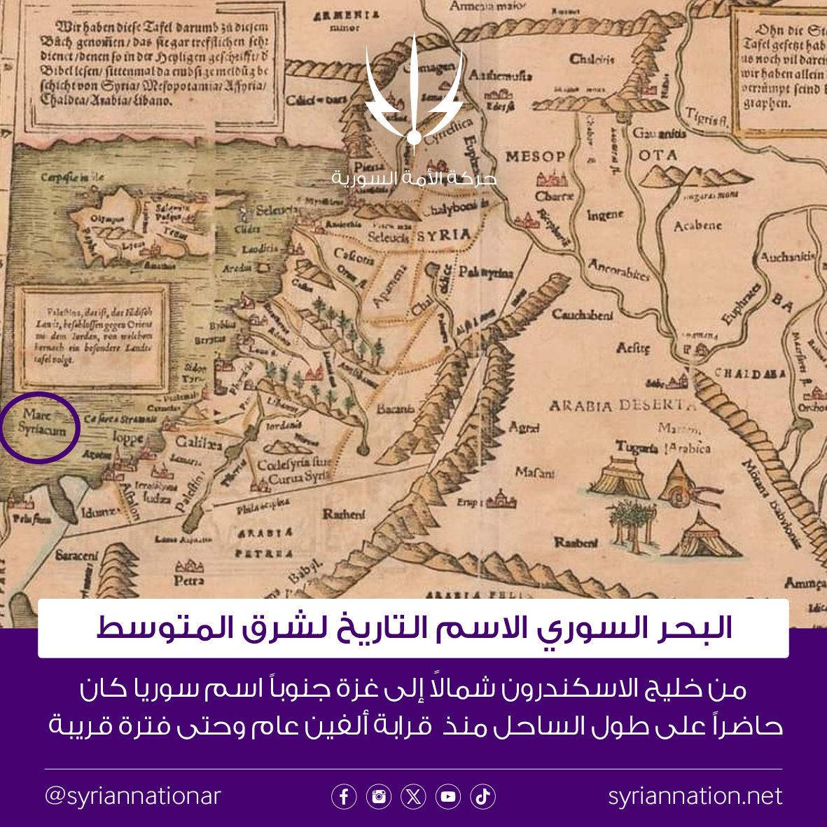 حركة الأمة السورية tweet media