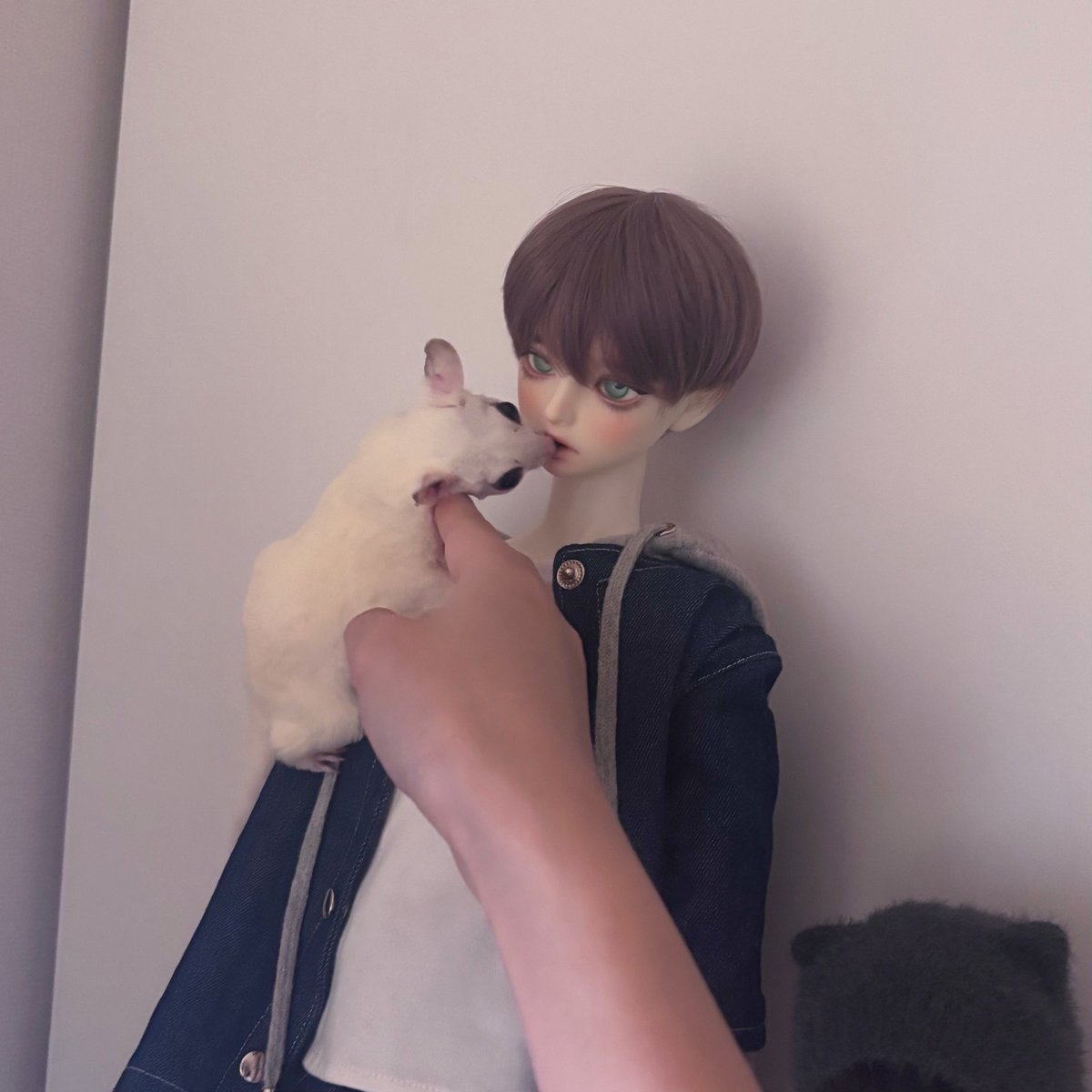 ʏ ᴇ ᴏ s ʜ ɪ tweet media
