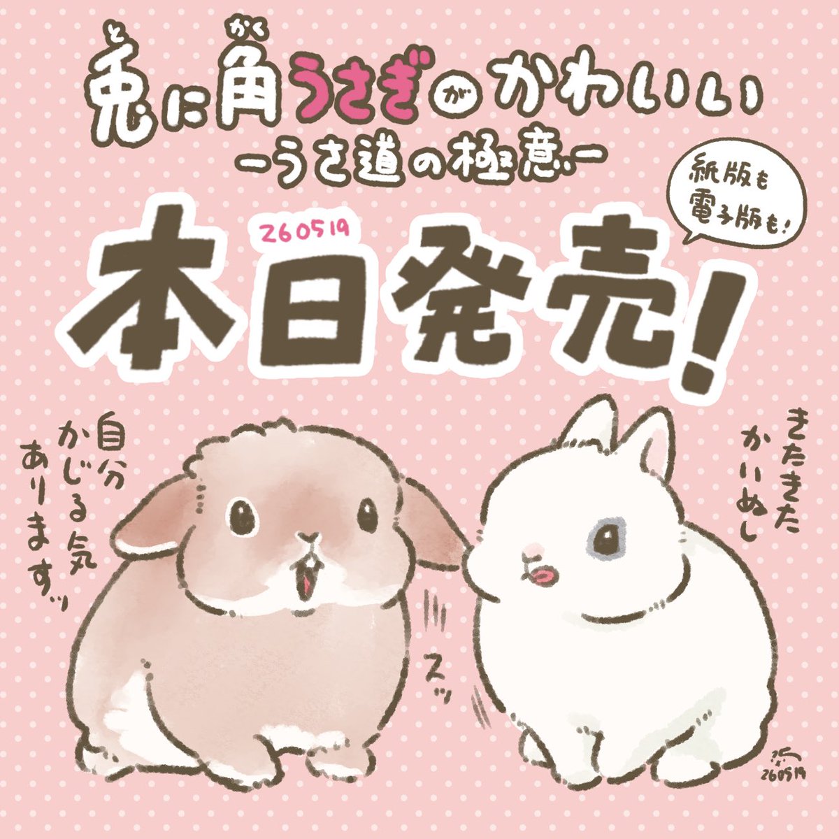 大賀一五🐰 tweet media