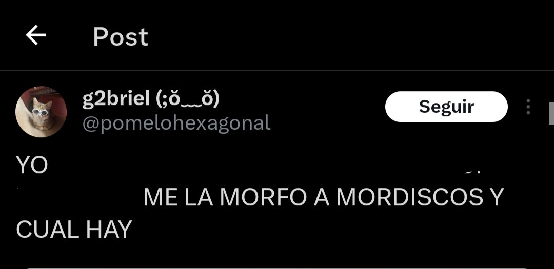 𝘤𝘩𝘪𝘤𝘩𝘰 ⁷ tweet media
