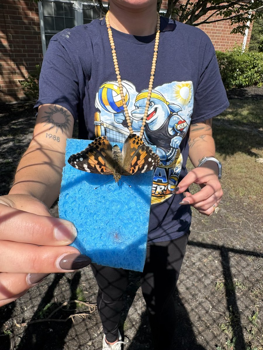 A_Georgieff_'s tweet photo. Released our butterflies this morning!! 🦋 https://t.co/6SiRYCFEJ8