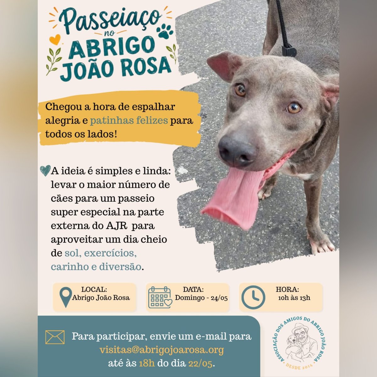 Abrigo João Rosa tweet media