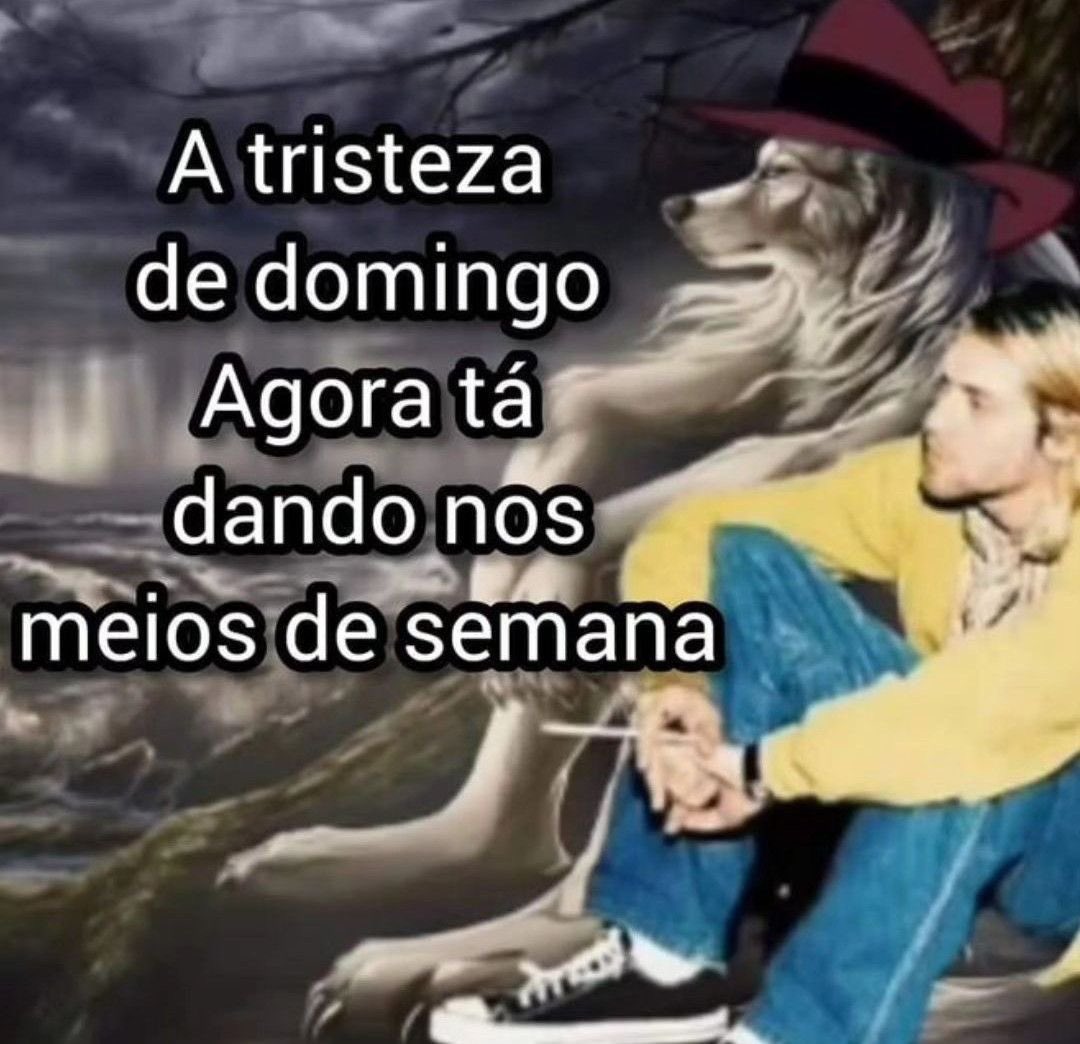 Shitpost só que de verdade tweet media