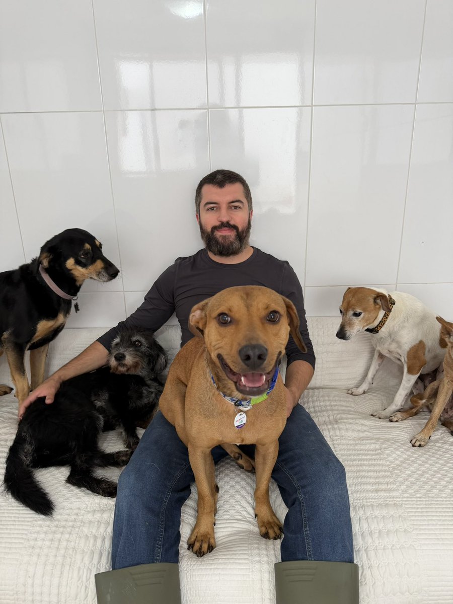casadoviralata's tweet photo. Hoje nosso canil e gatil ficam separados por 2 horas de viagem todos os dias. Agora temos a chance de comprar o terreno ao lado do canil e unir nossos espaços! ❤️🐾

Menos tempo na estrada menos gastos e mais tempo dedicado para eles.

Doe na vakinha!

https://t.co/AzIgYjxqdo https://t.co/ReVvrPfjDj