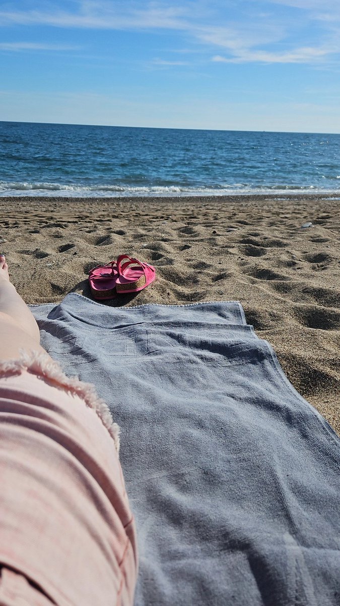 CatLady996's tweet photo. Odmor za dušu. ☀️ https://t.co/9Vzidygq8x