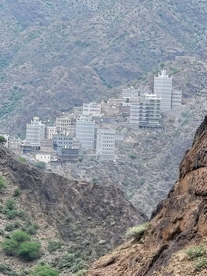 علي ناصر فلاحة tweet media