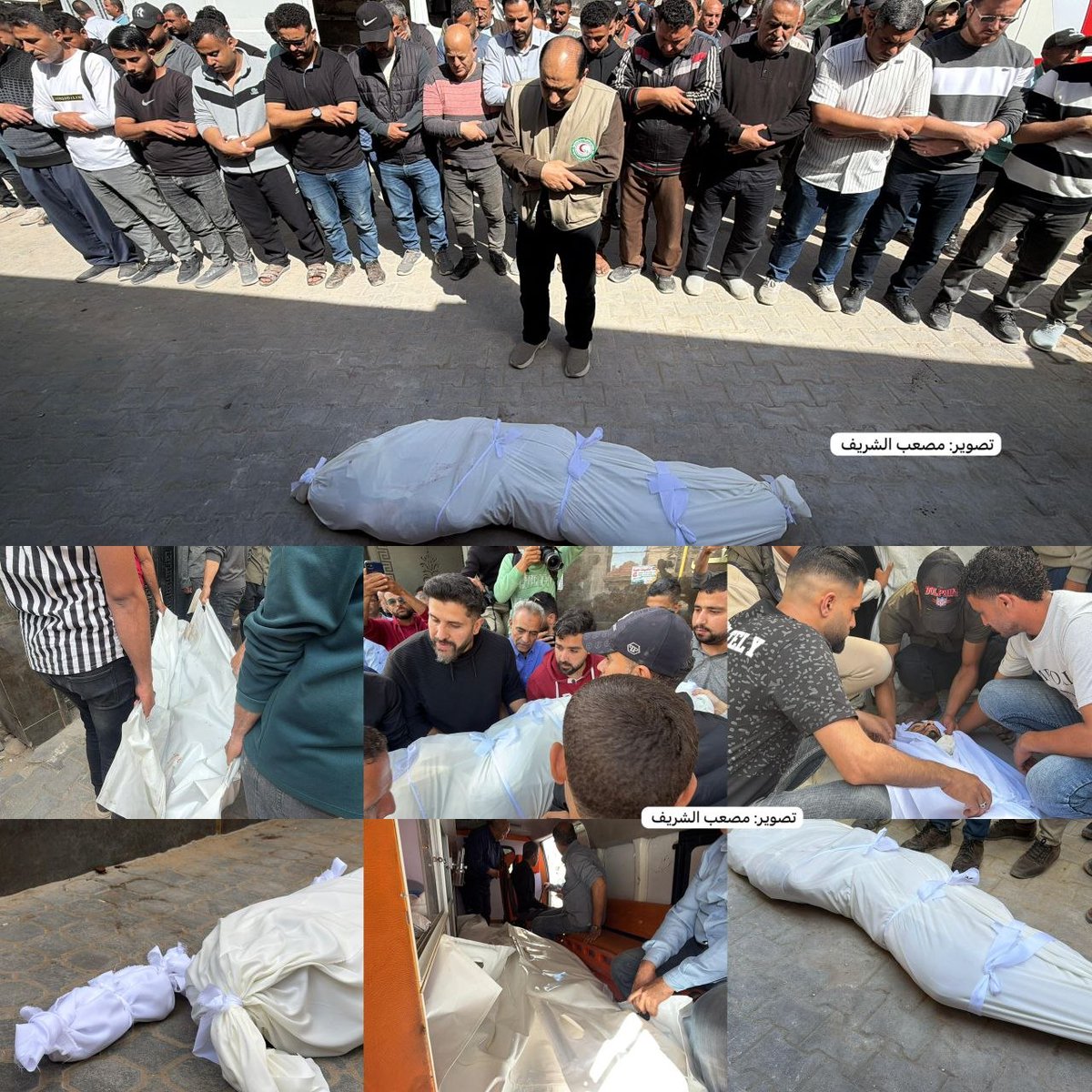 Hakim8911's tweet photo. @HaithamElmasri1 A lot of military aged fatsos on here

They are not starving?m https://t.co/XiNHSnQ8F6