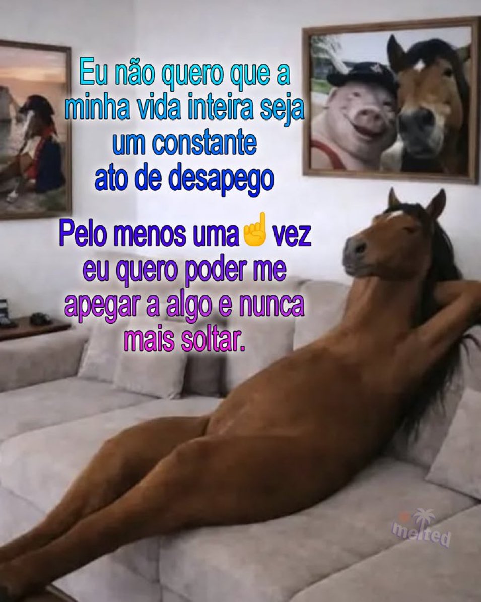 Trouxinha tweet media